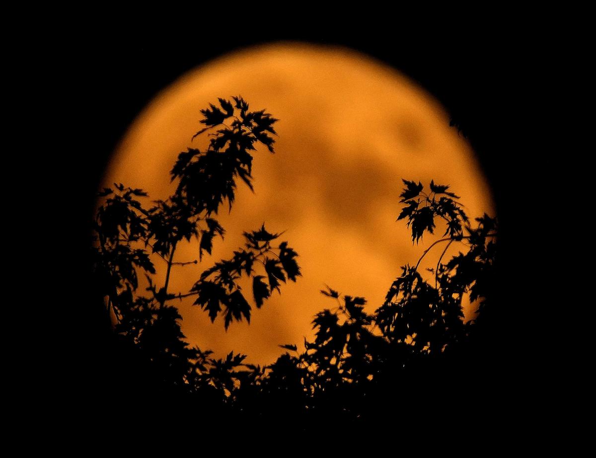 Not just a hunter's moon. October's full moon is also a supermoon. When to watch