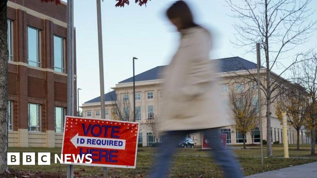 Georgia elections board to require hand count of ballots