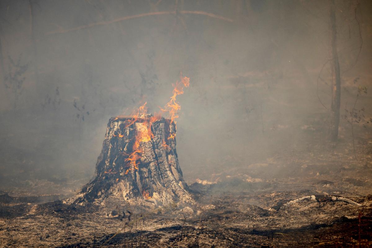 Viral post misleads about Wyoming fires, rare earth minerals | Fact check