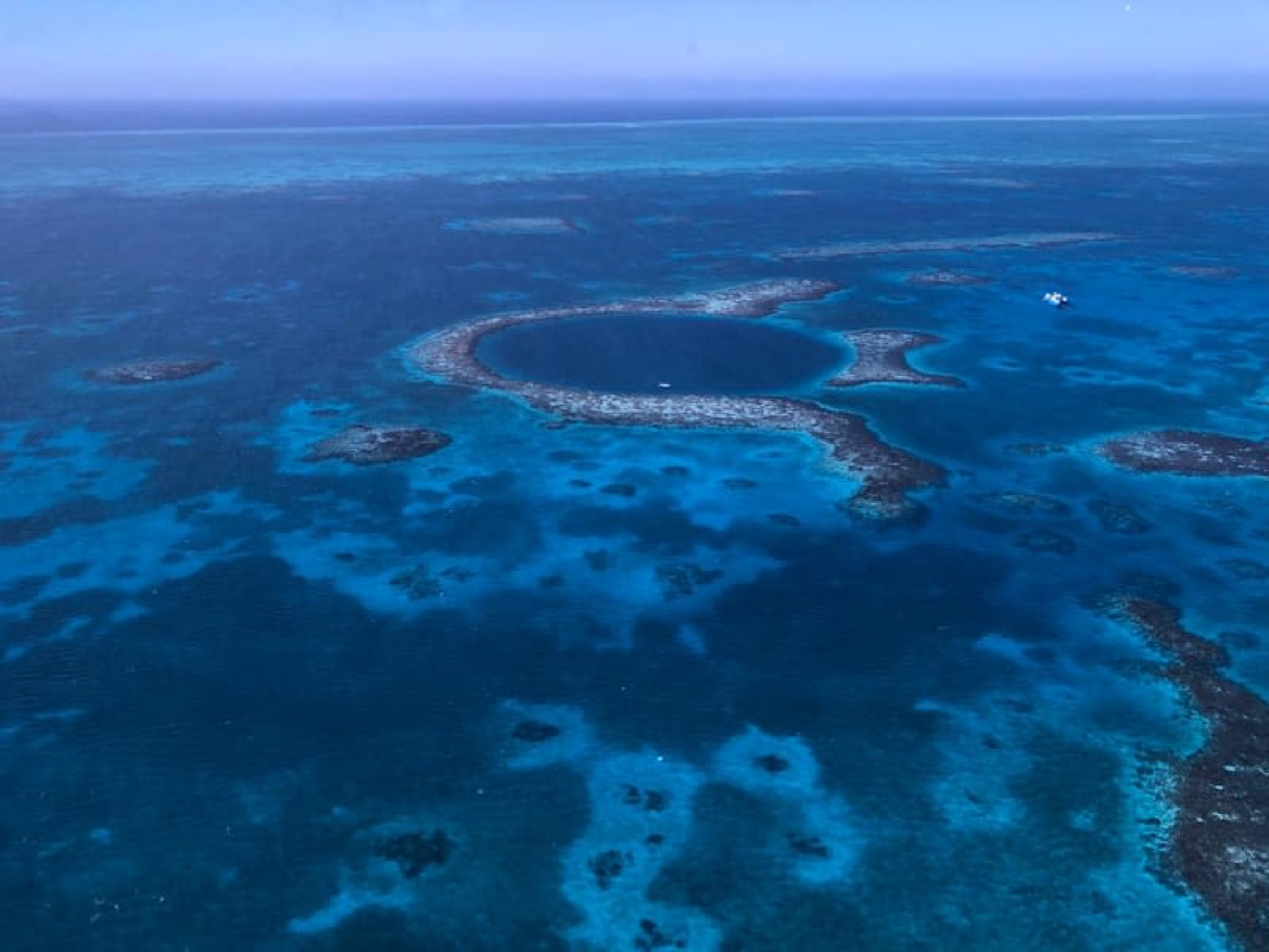 Grande Buraco Azul: mergulhadores encontram “cemitério” no fundo do mar