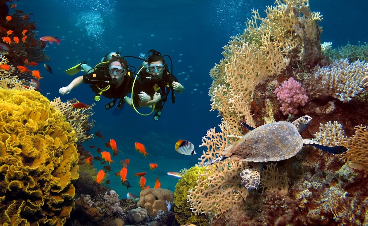 10 Of The Best Scuba Diving Destinations In The World You Can't Miss