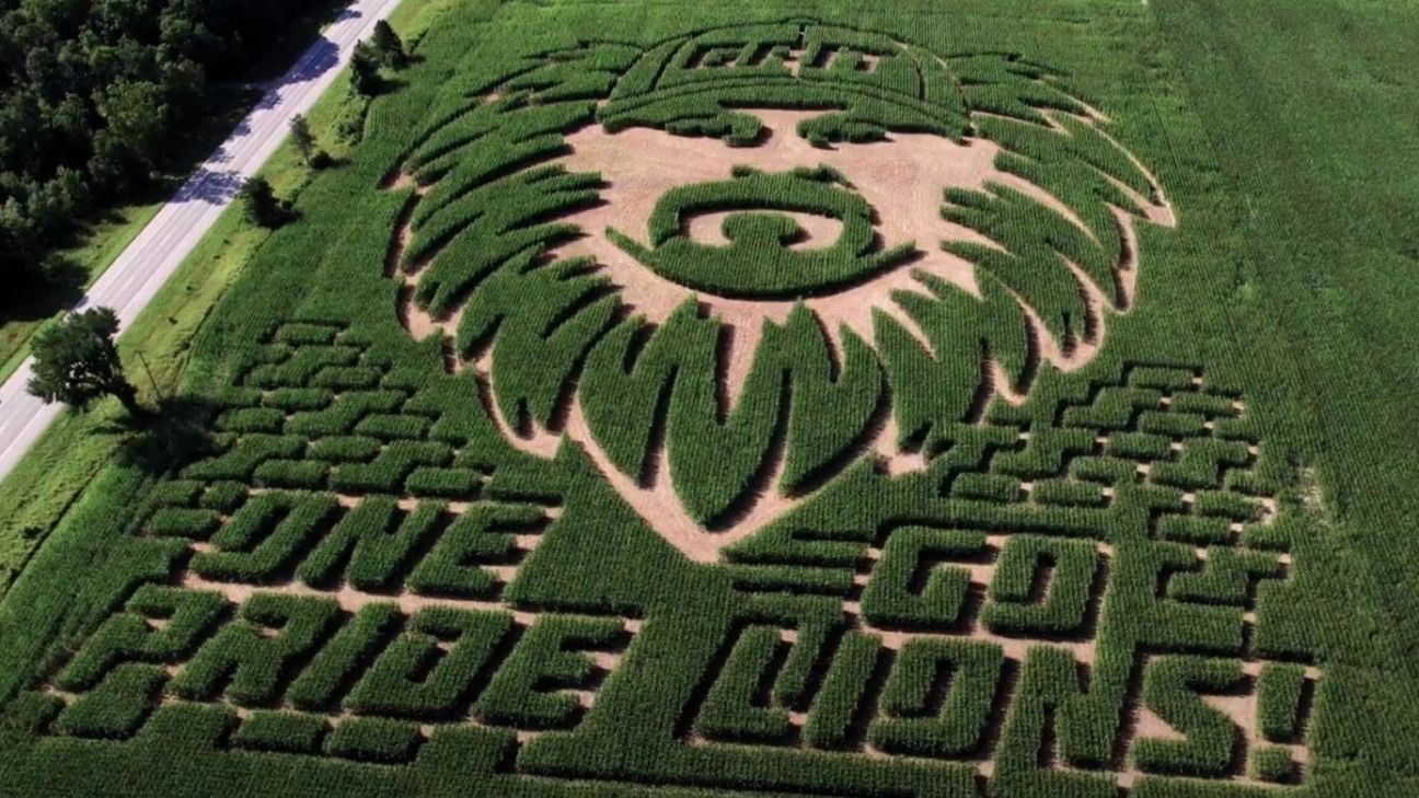 Carved in corn: Dan Campbell and Caitlin Clark inspire mazes