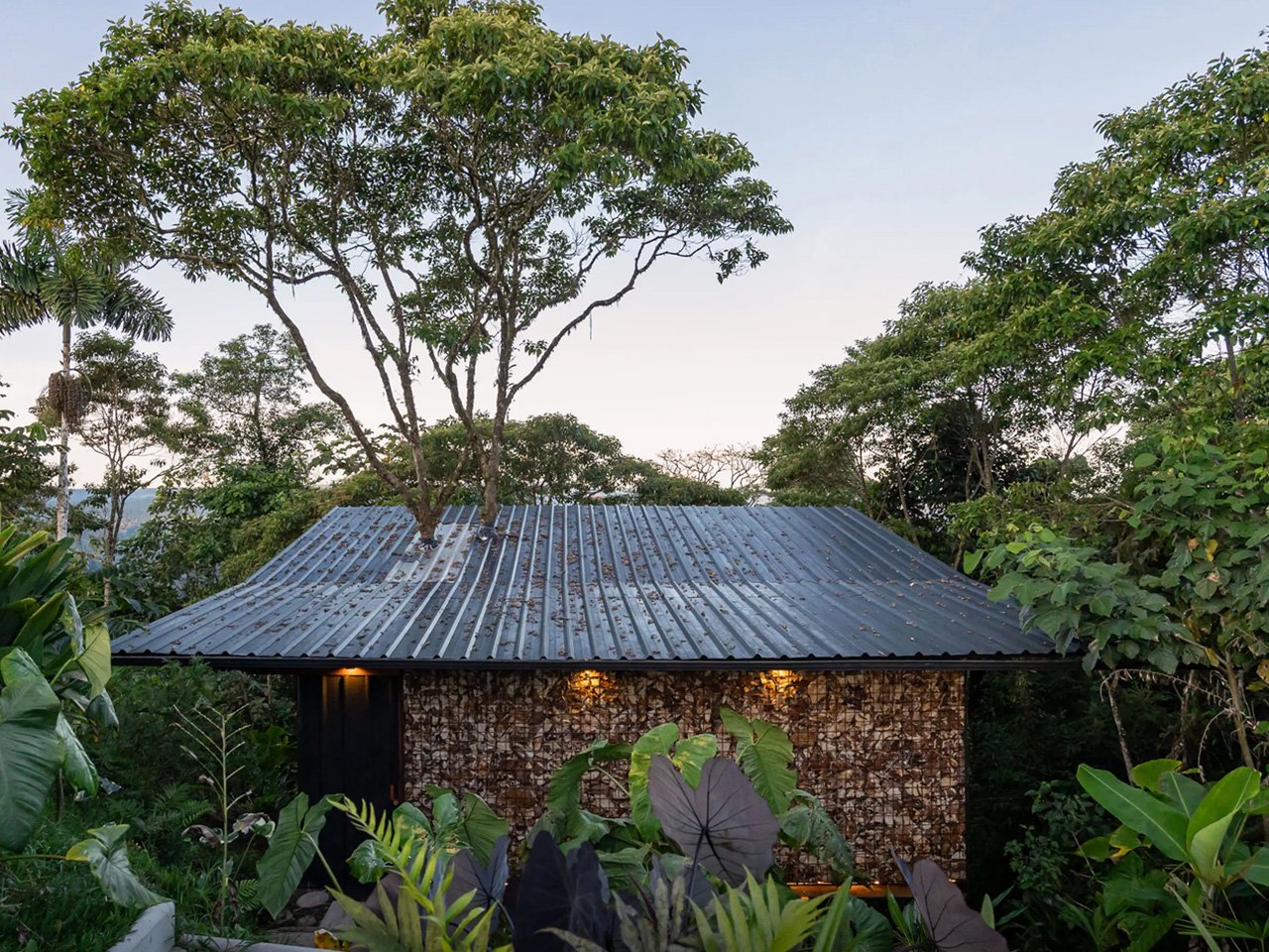 This Beautiful Lodging In The Amazonian Rainforest Is Built Around A Pigüe Tree