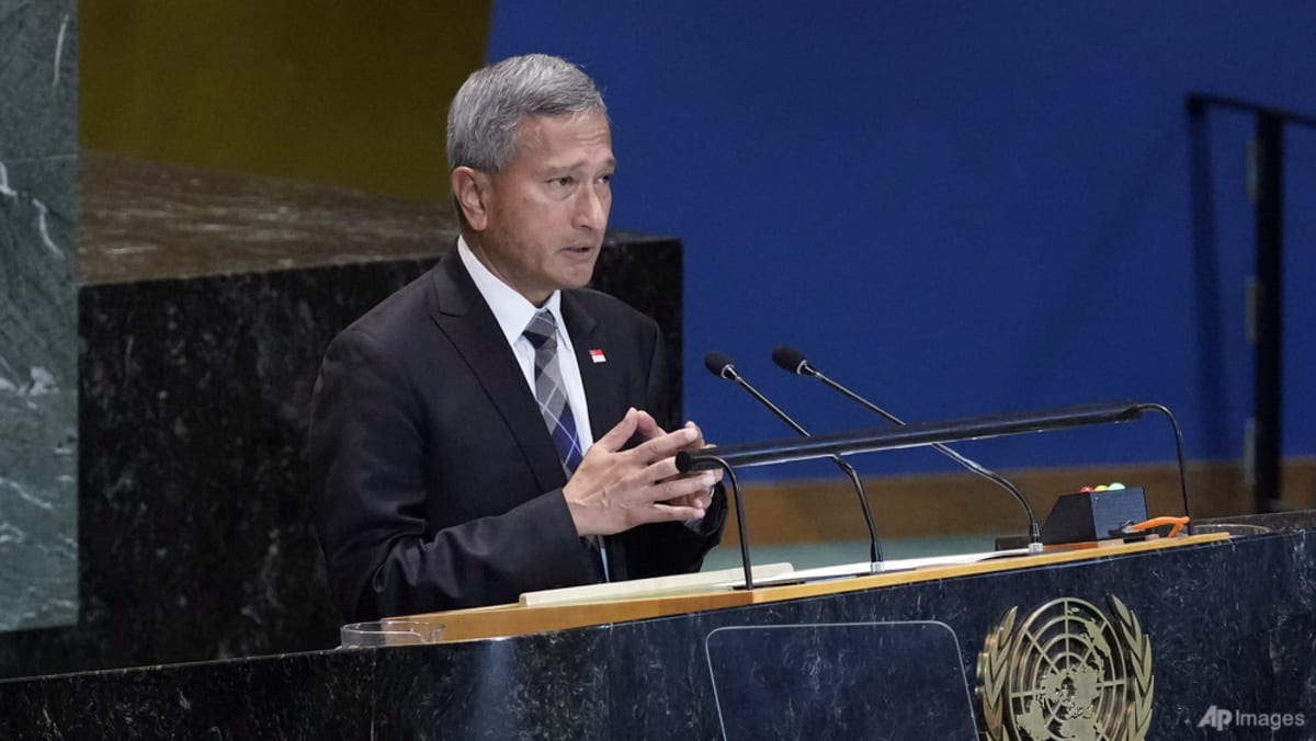 Singapore calls for UN Security Council's use of vetoes to be 'constrained'