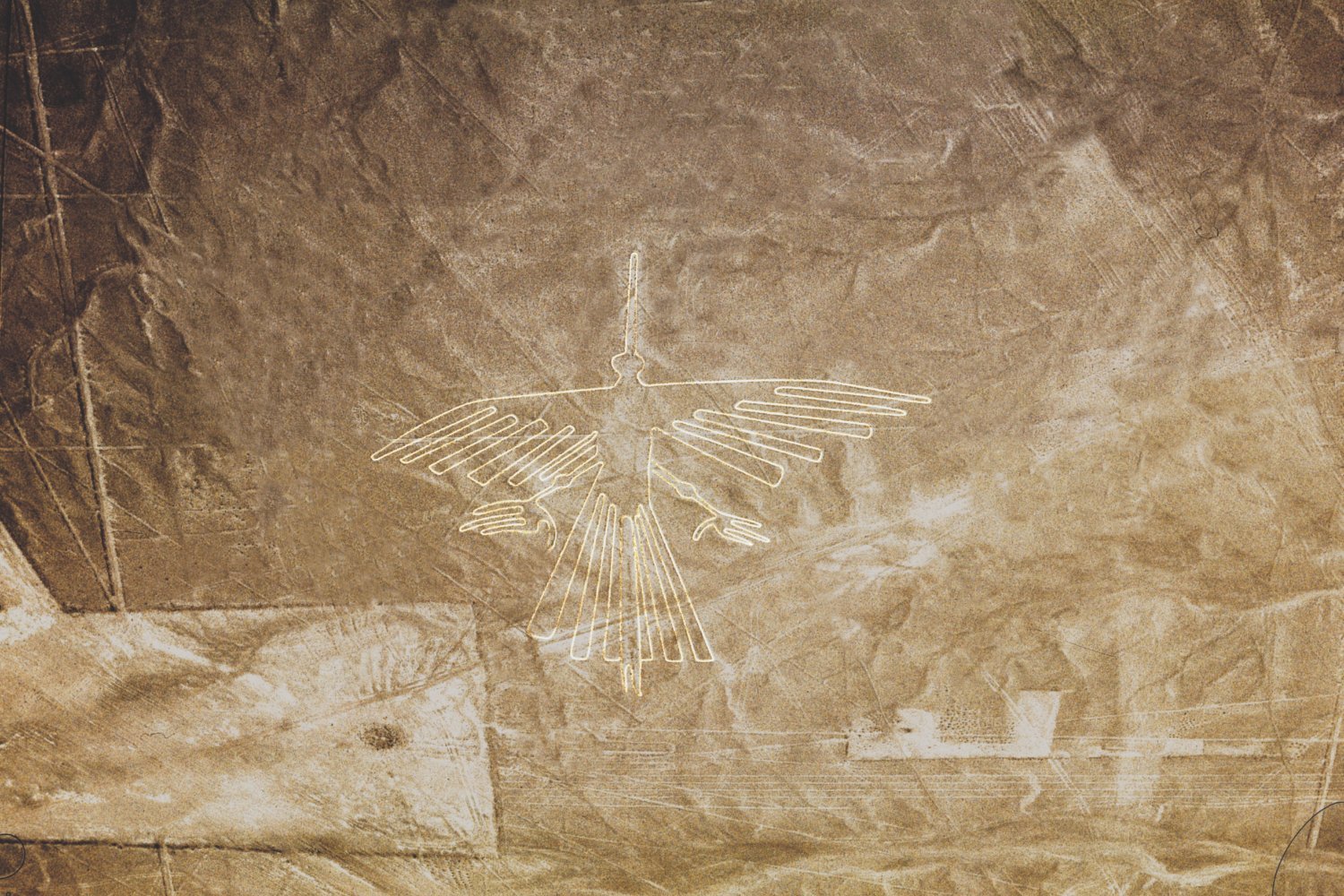 AI Survey Reveals Hundreds of ‘Nazca Line’ Geoglyphs