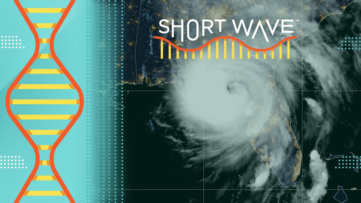 Here's how Hurricane Helene turned into a major storm