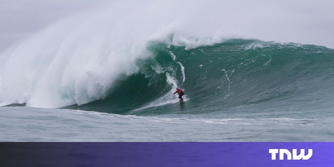 Big wave surfer emerges from the barrel with $120M fund for regenerative agriculture