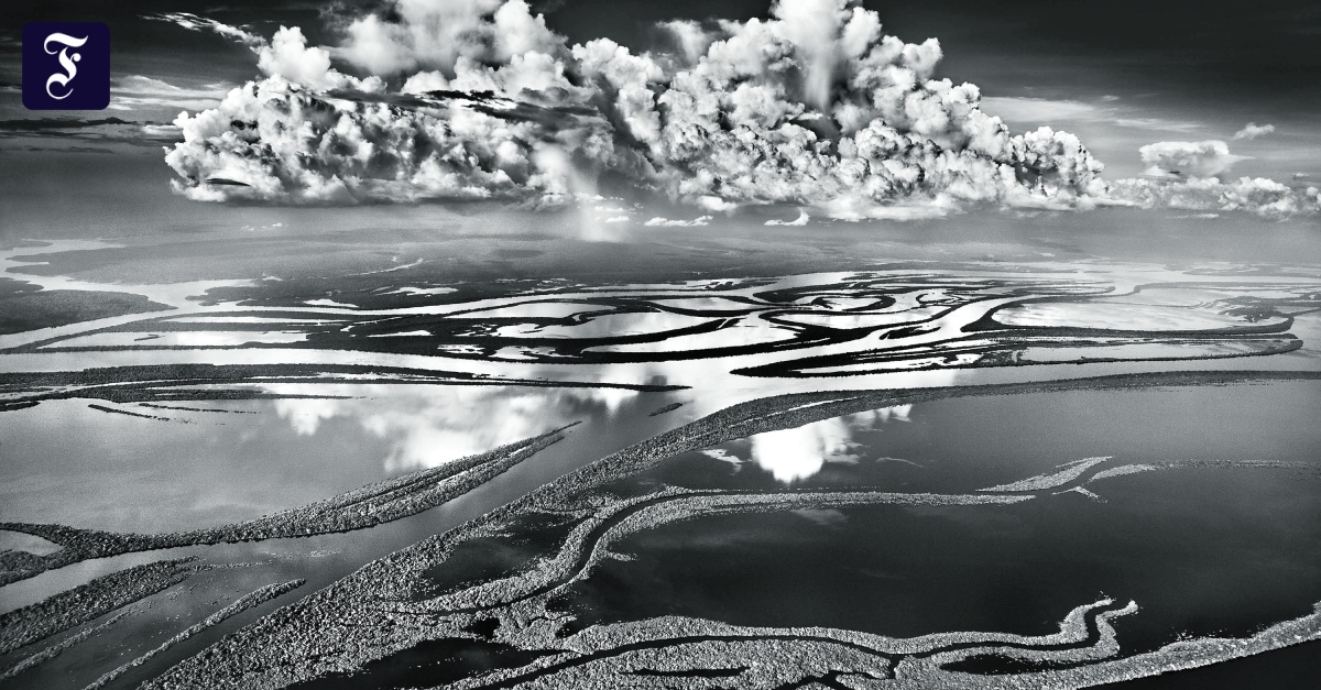 Sebastião Salgado im Gespräch: KI-Bilder werden niemals eine Seele haben!