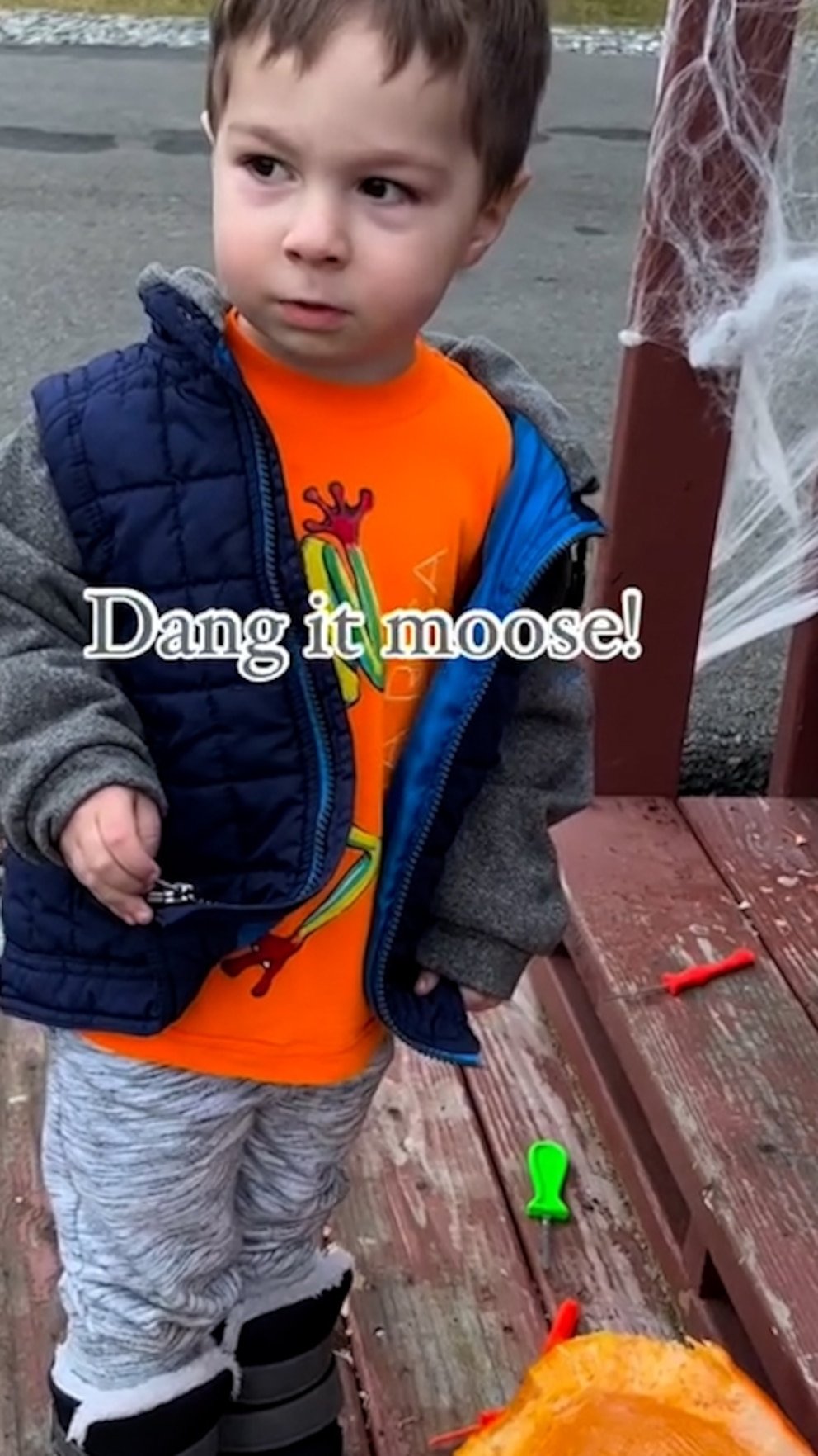 WATCH: ‘Dang it, moose': Young boy in Alaska is adorably angry after moose eats his pumpkin