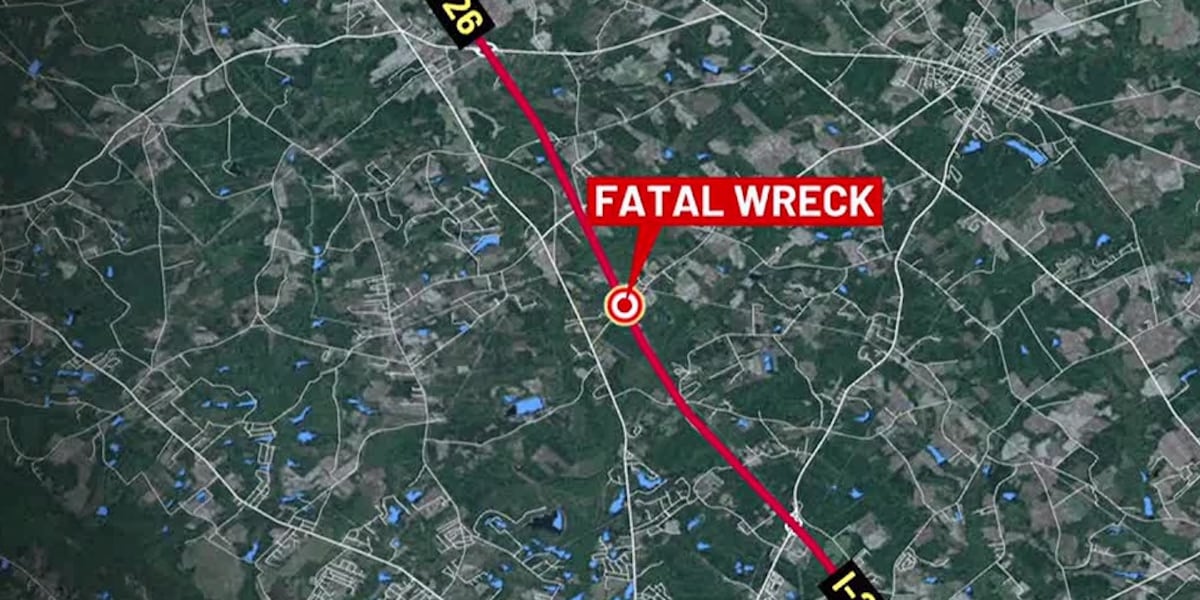 One dead after car overturns in Orangeburg County