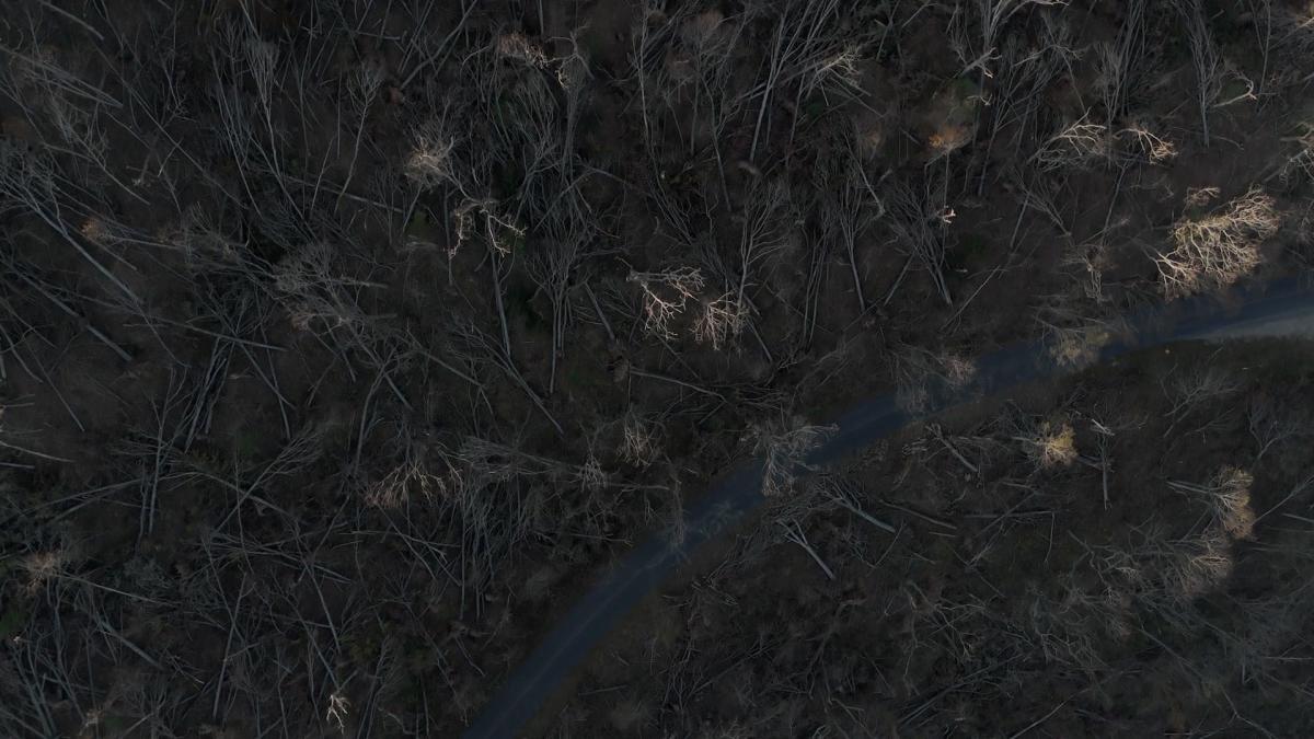 Watch: Drone footage shows Blue Ridge Parkway devastation in North Carolina