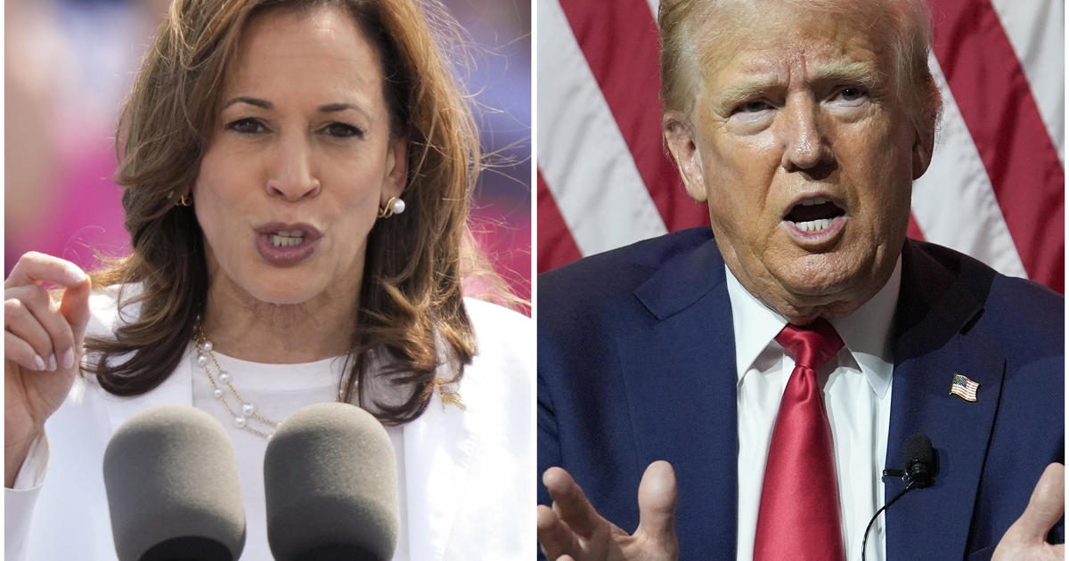 Trump, Harris go on campaign blitz in battleground states as race enters final stretch