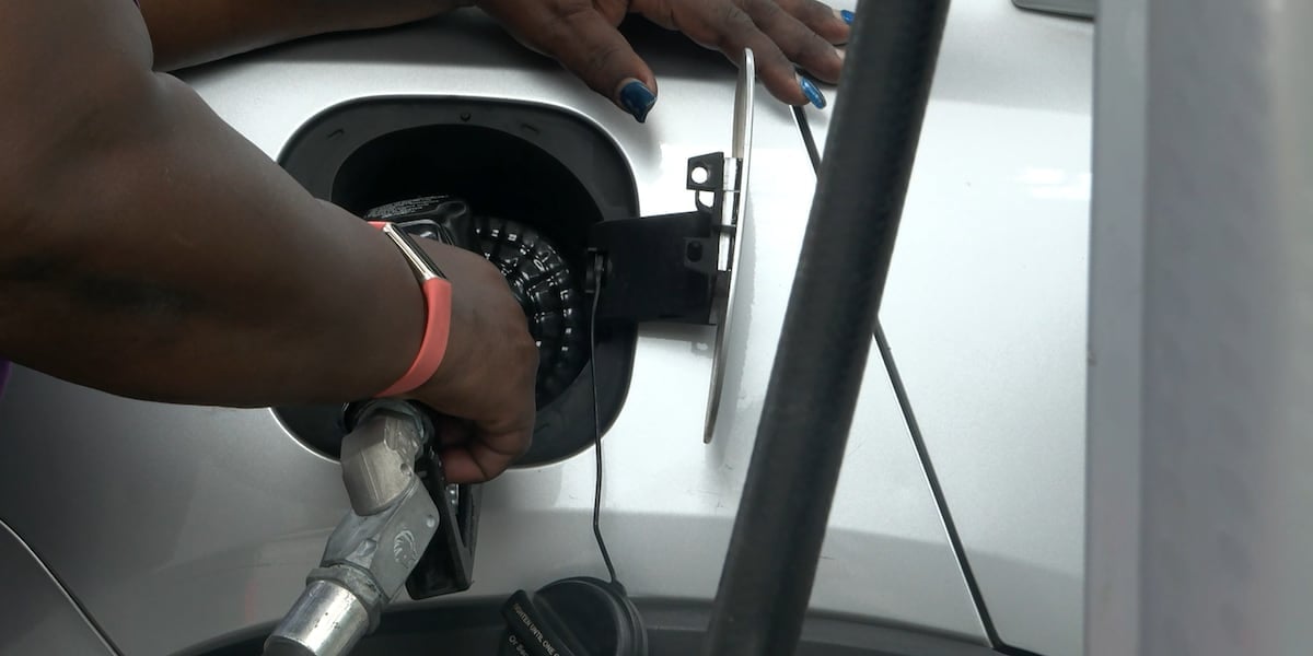 Gas prices in South Carolina see small decline; experts hope for continued trend