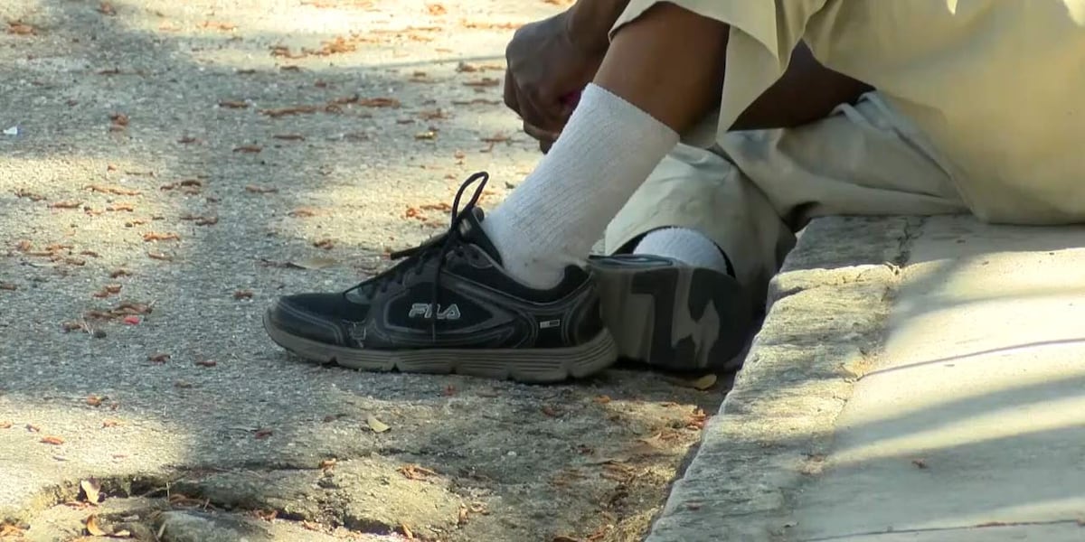 Lowcountry count reveals snapshot of homeless population