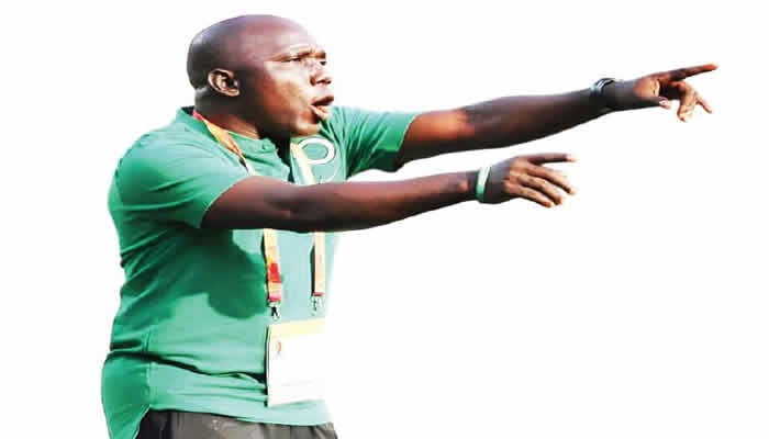 Flamingos will make Nigeria proud — Olowookere