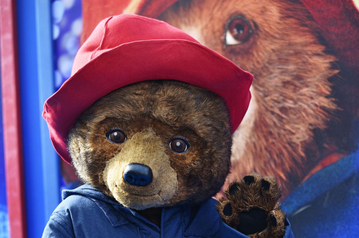 British government issues official passport for Paddington Bear