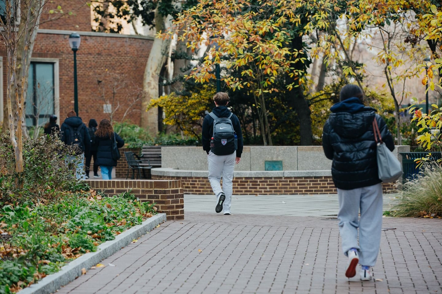 Colleges enrolled fewer freshmen, first decline since the pandemic