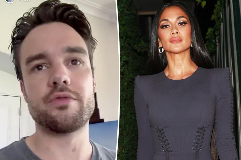 Liam Payne was texting with Nicole Scherzinger on the day he died