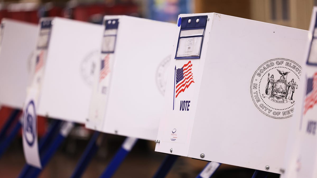 Worried You Were Purged From Voter Rolls? What to Know About Looking up Your Registration