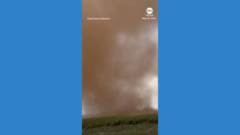 WATCH: Dust devil engulfs storm chaser in Texas