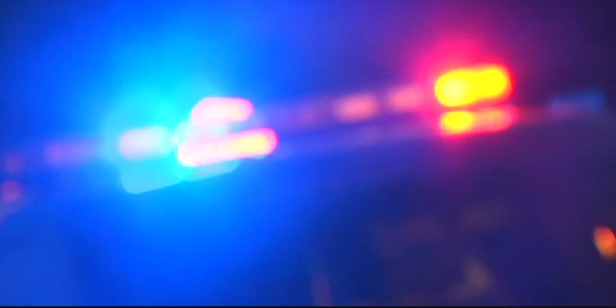 Pedestrian after being hit by car in Lexington County, SCHP says