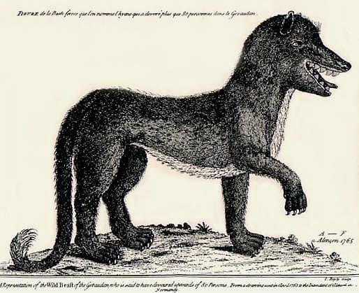 Beast of Gévaudan