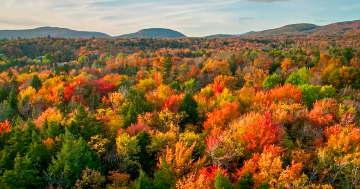 Colorblind viewfinders in Virginia parks allow guests to experience fall foliage in full color