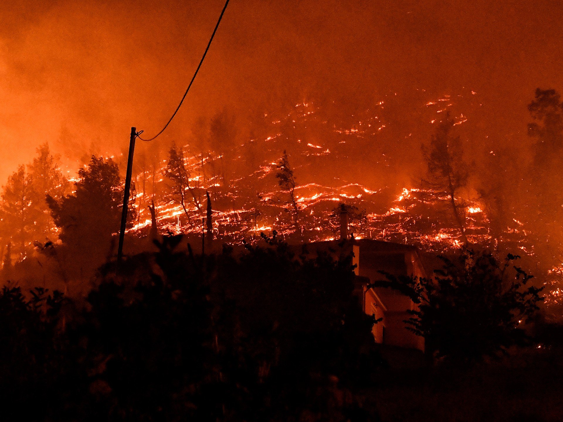 Global forest loss exceeds targets in 2023, report warns