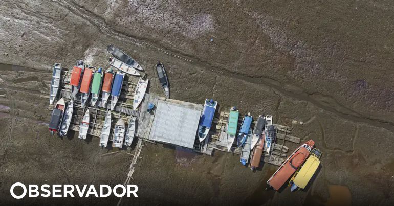 Seca reduz em 90% nível do rio Amazonas