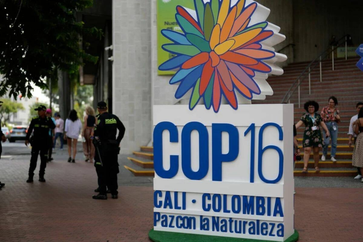 Environmental delegates gather in Colombia for a conference on dwindling global biodiversity