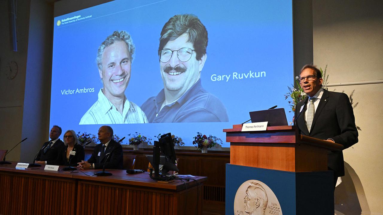 Medizin-Nobelpreis geht an microRNA-Entdecker Ambros und Ruvkun