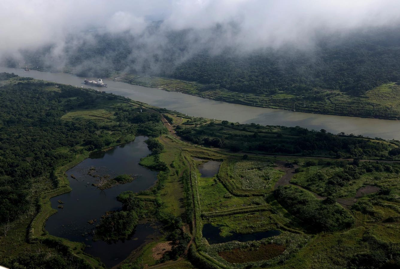 Heat And Drought Imperil The Panama Canal And Adjoining Rainforests