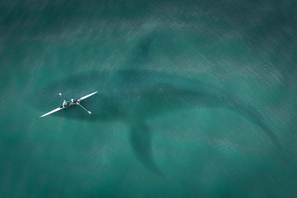 Fact Check: 65-Foot 'Kodiak Sharks' Weren't Discovered in Lake Michigan