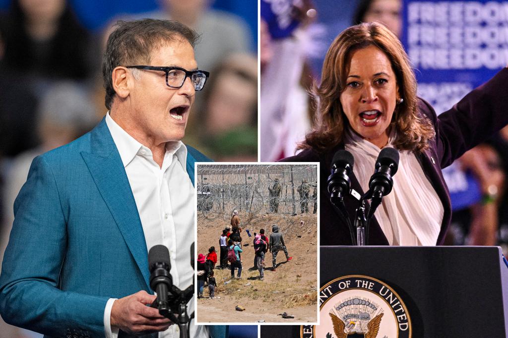 Biden-Harris should have acted 'sooner' to fix border crisis: Mark Cuban