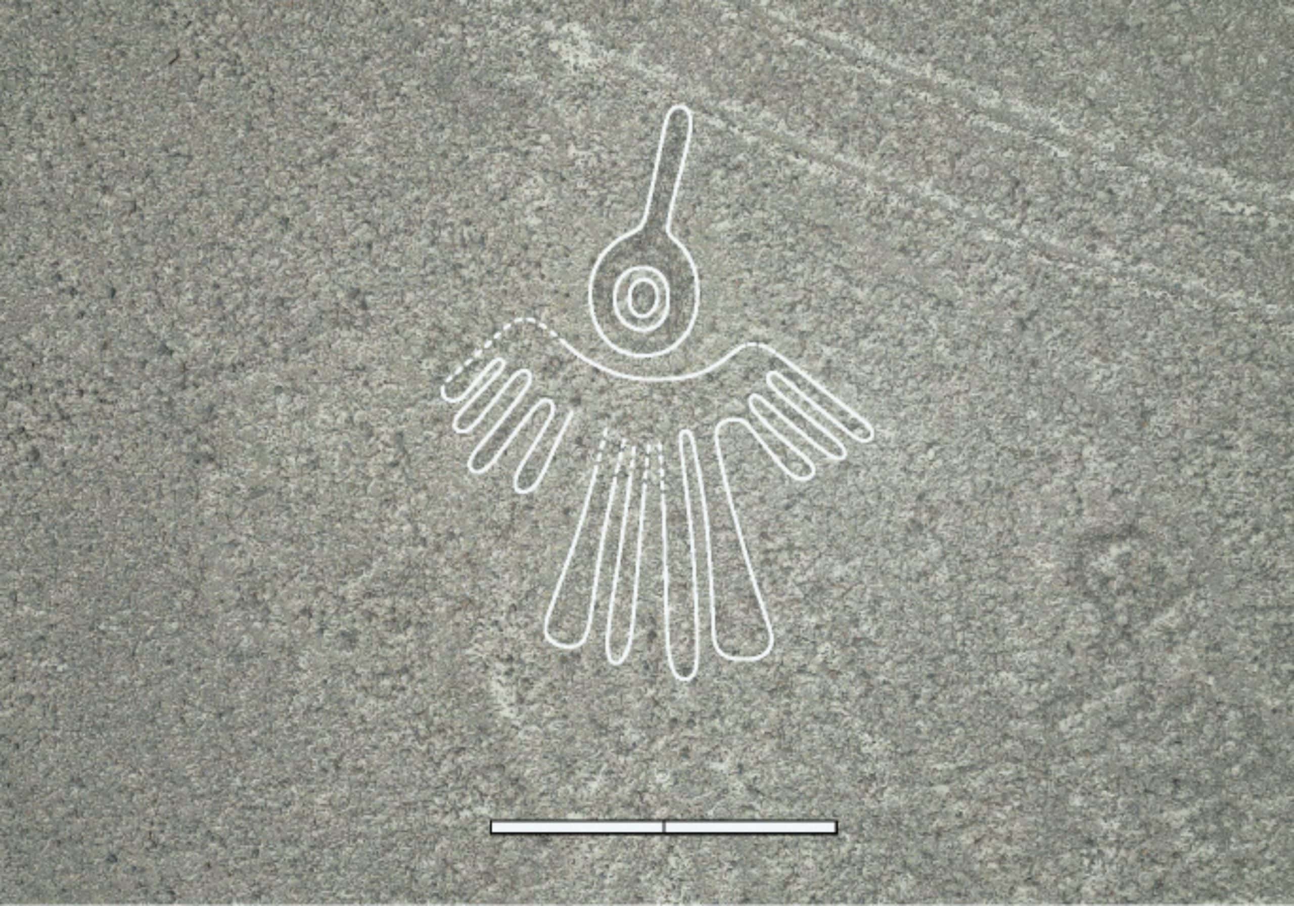 Centenas de novos geoglifos são encontrados no deserto de Nazca graças à IA