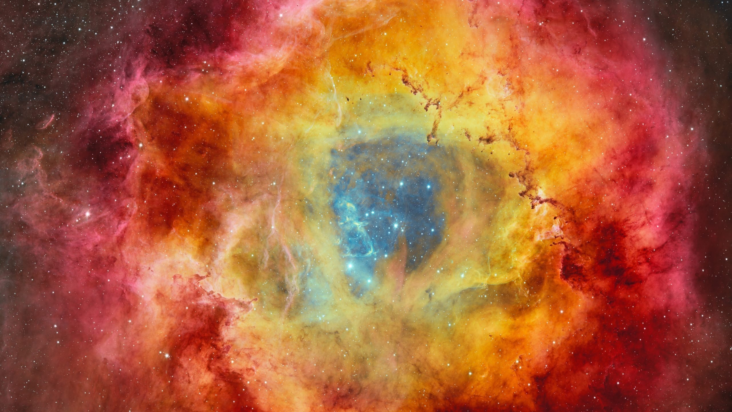 DECam captures the Rosette Nebula in stunning detail and color