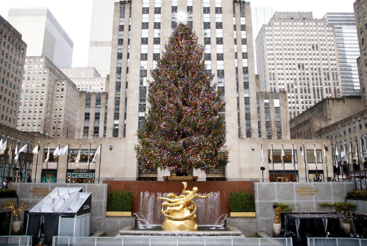 Trees have been chosen for prominent holiday displays in NYC, White House