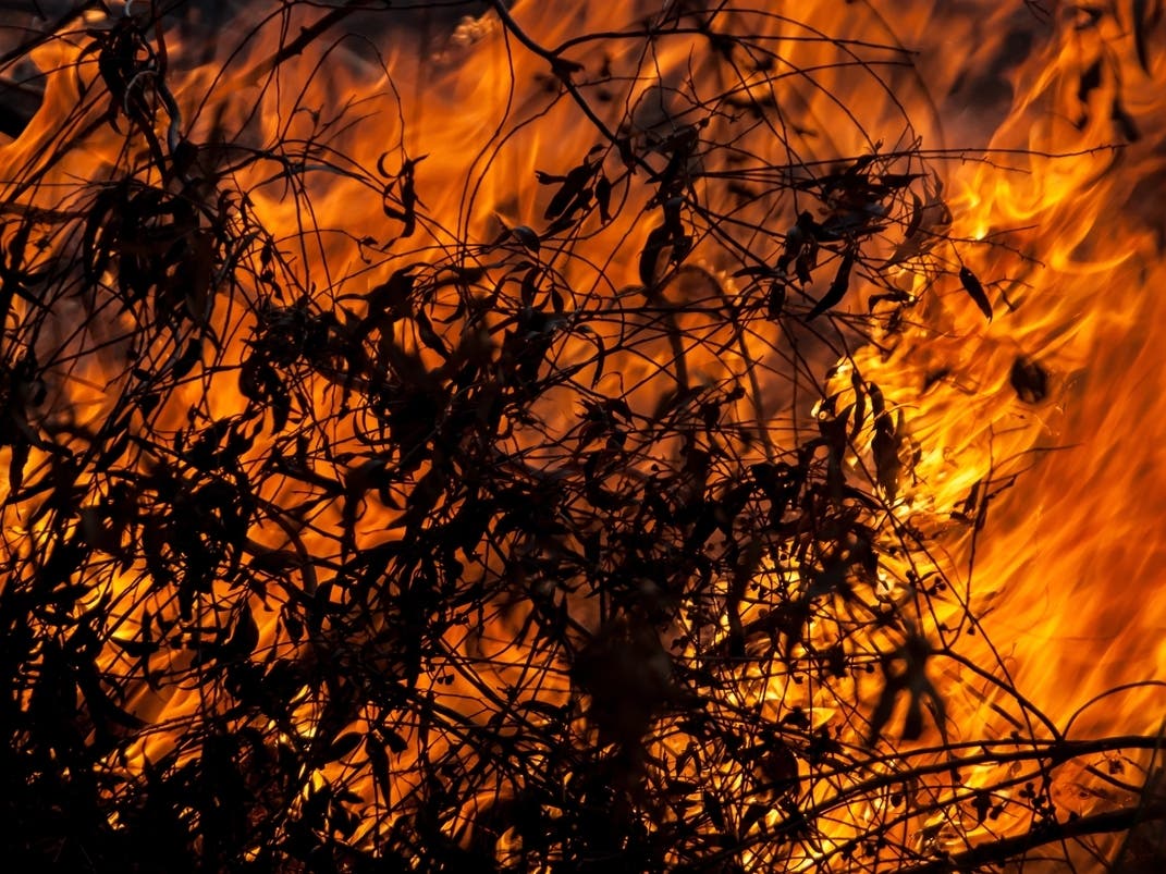 'Our State Is A Tinderbox': CT Officials Warn Drought Is Fueling Fires