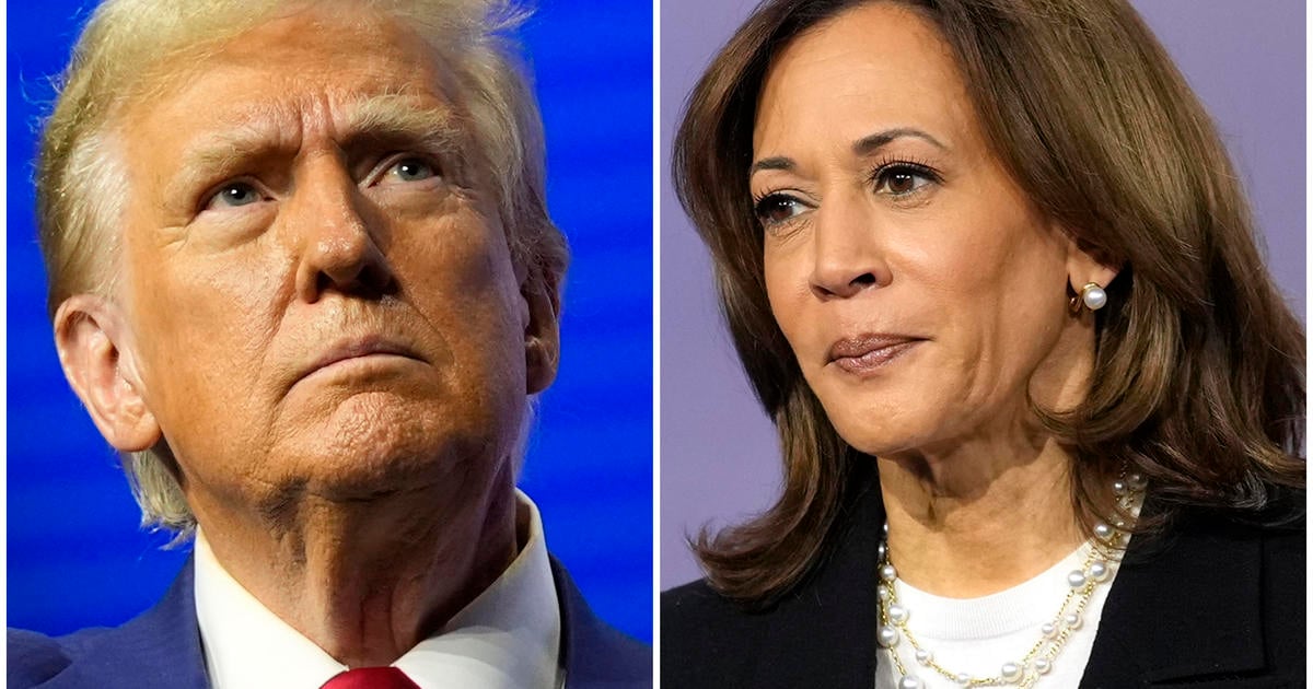 Harris, Trump back on trail after Trump MSG rally overshadowed by offensive remarks