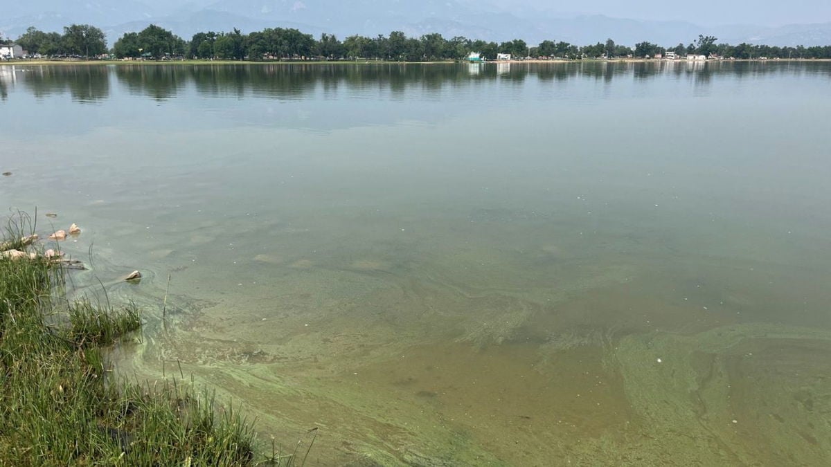 Aeration system to combate blue-gree algae at Prospect lake installed