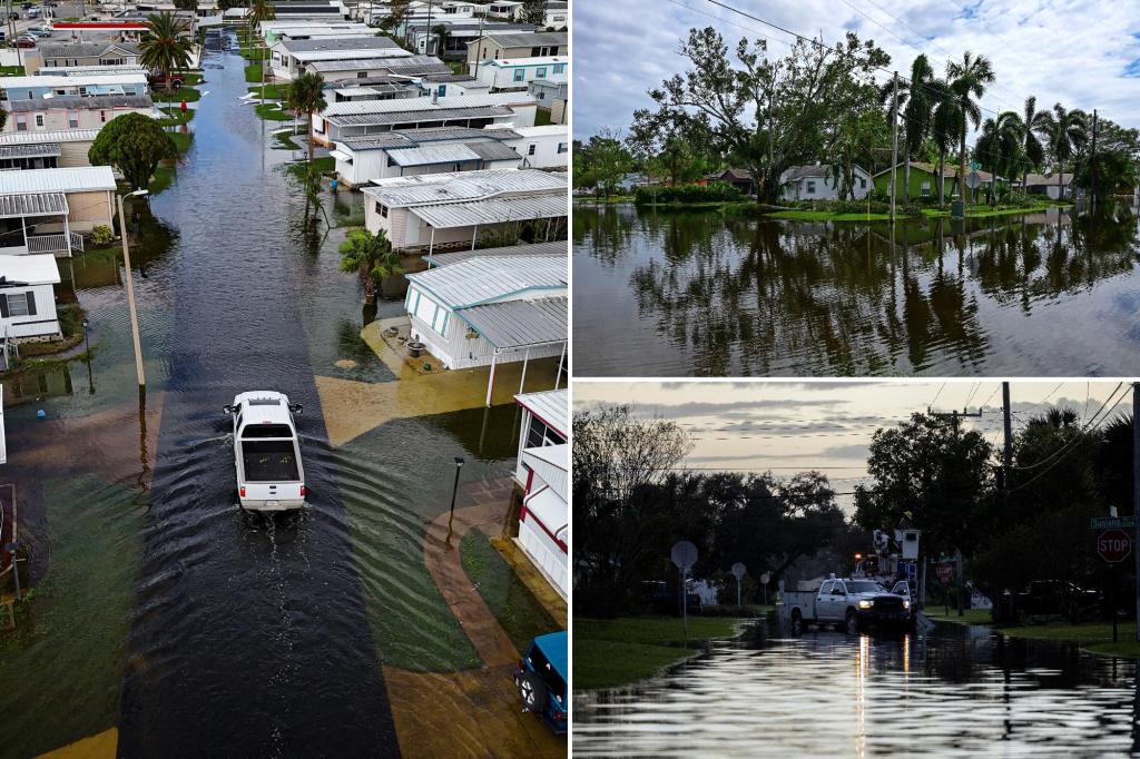 Dengue Fever cases rise in Florida after Hurricane Milton