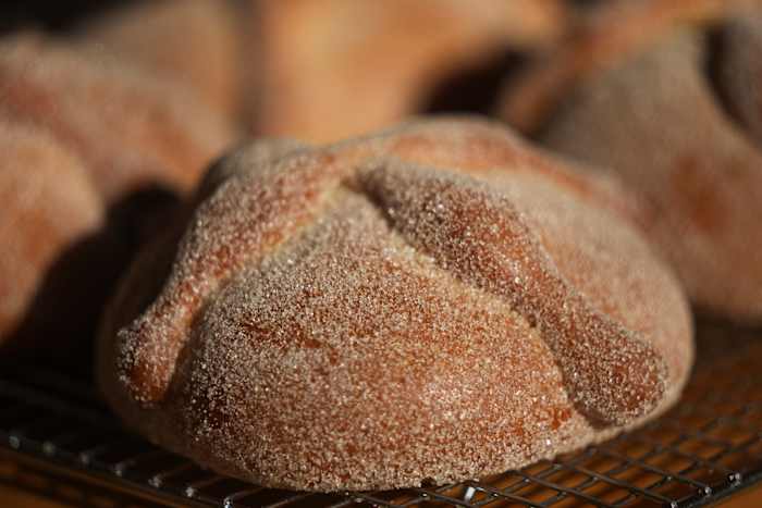 Care for a sweet treat during Mexico's Day of the Dead? Have a bite of 'pan de muerto'