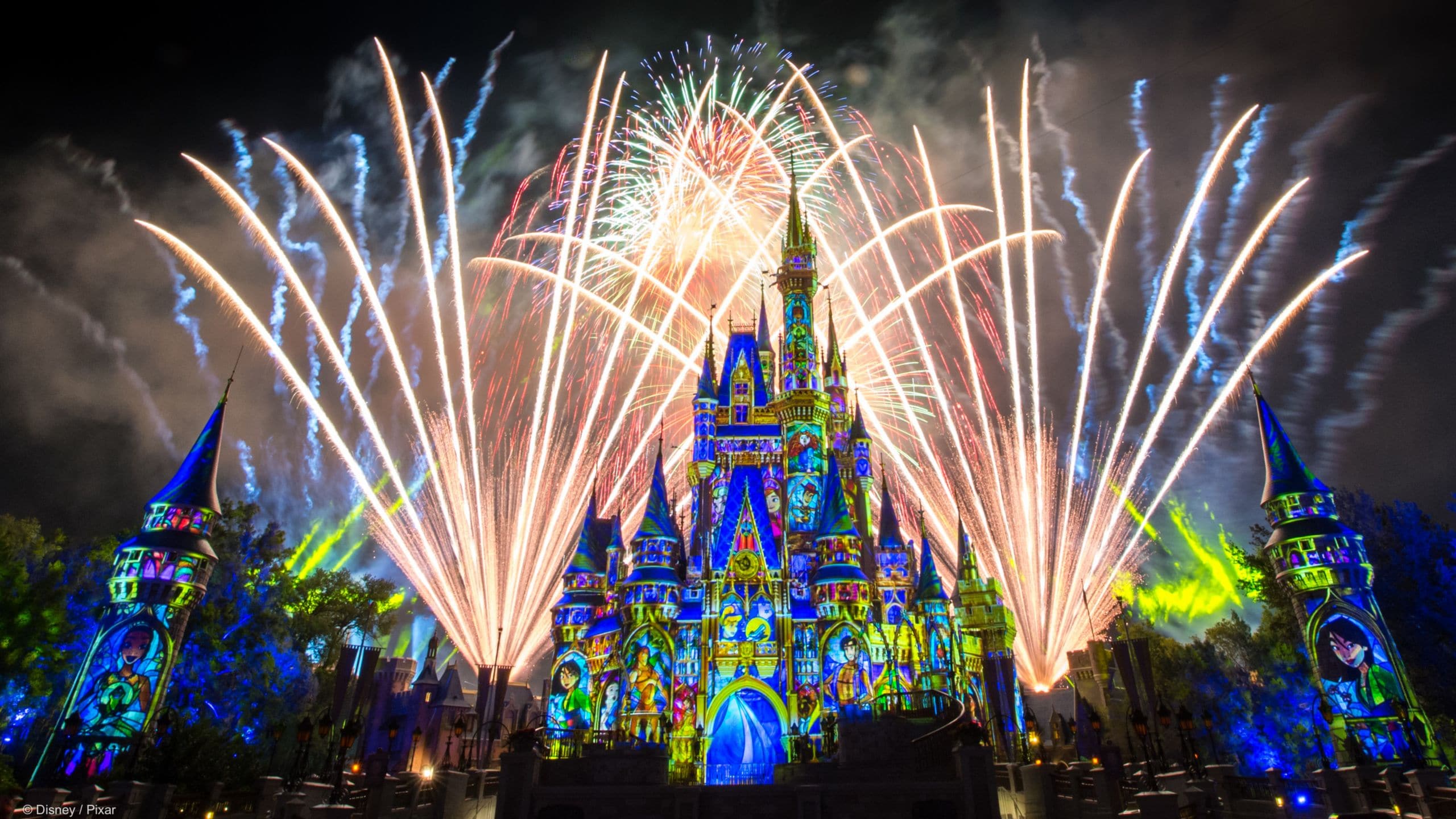 Texas Man Reportedly Pushes Stroller into Cast Member & Shoulder Checks Her for Magic Kingdom Fireworks Spot