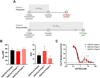 A novel 4-aminoquinoline chemotype with multistage antimalarial activity and lack of cross-resistance with PfCRT and PfMDR1 mutants