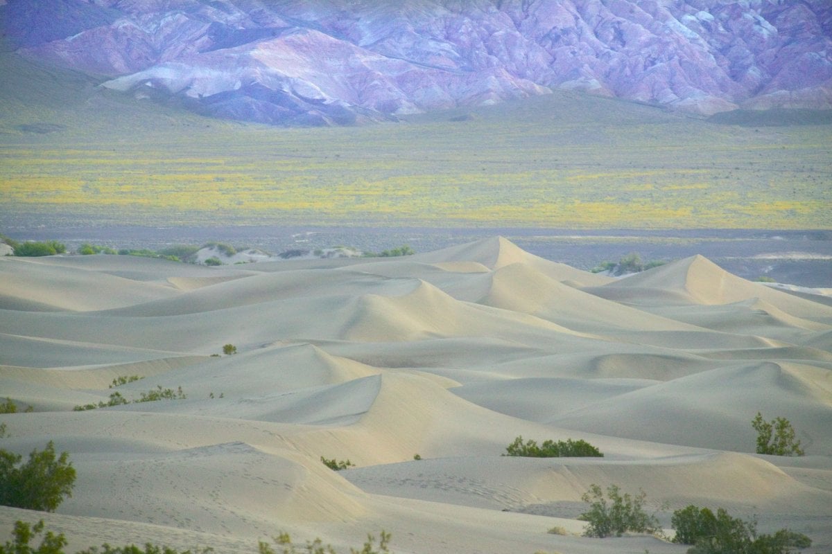 On This Day, Oct. 31: Death Valley, Joshua Tree National Parks established