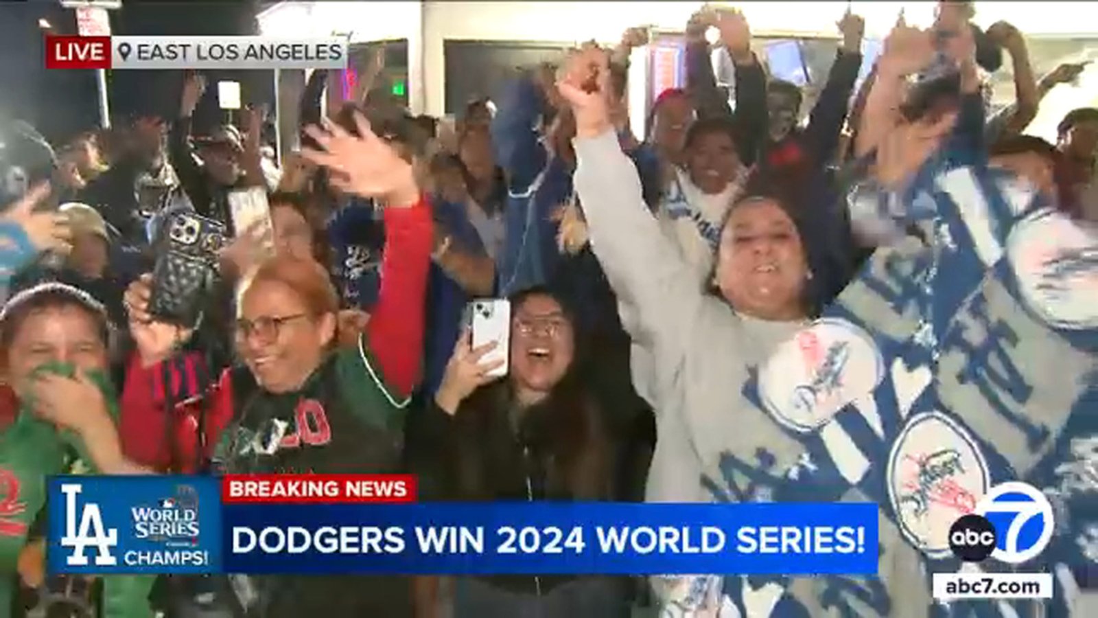 Dodger fans celebrate across Los Angeles, Southern California after World Series win