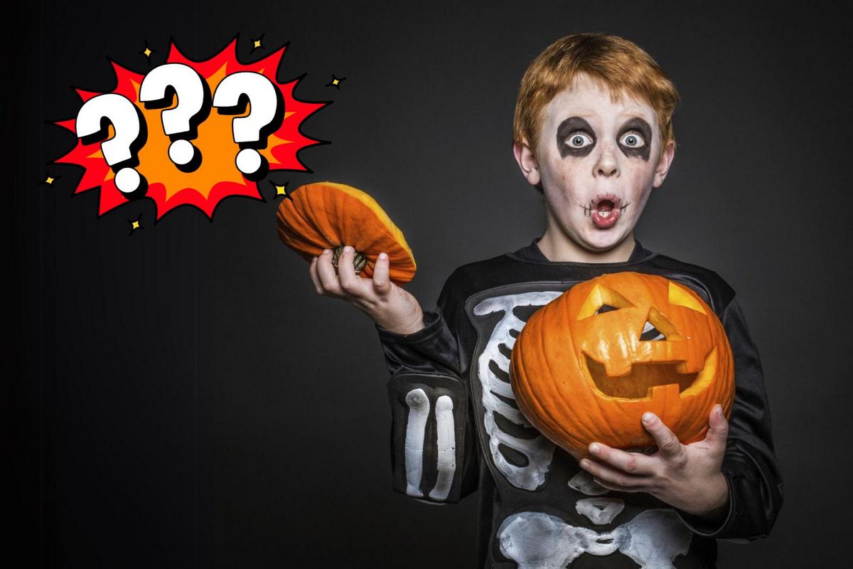 What You Need To Know If You Are Trick-or-Treating in Minnesota