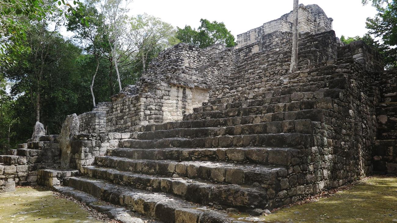 Archäologischer Fund: Große Maya-Siedlung im mexikanischen Dschungel entdeckt