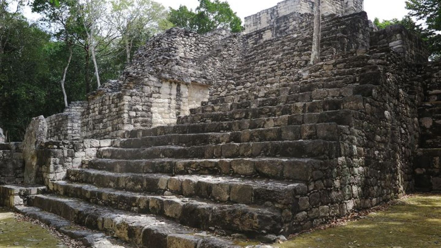 Archäologischer Fund: Große Maya-Siedlung im mexikanischen Dschungel entdeckt