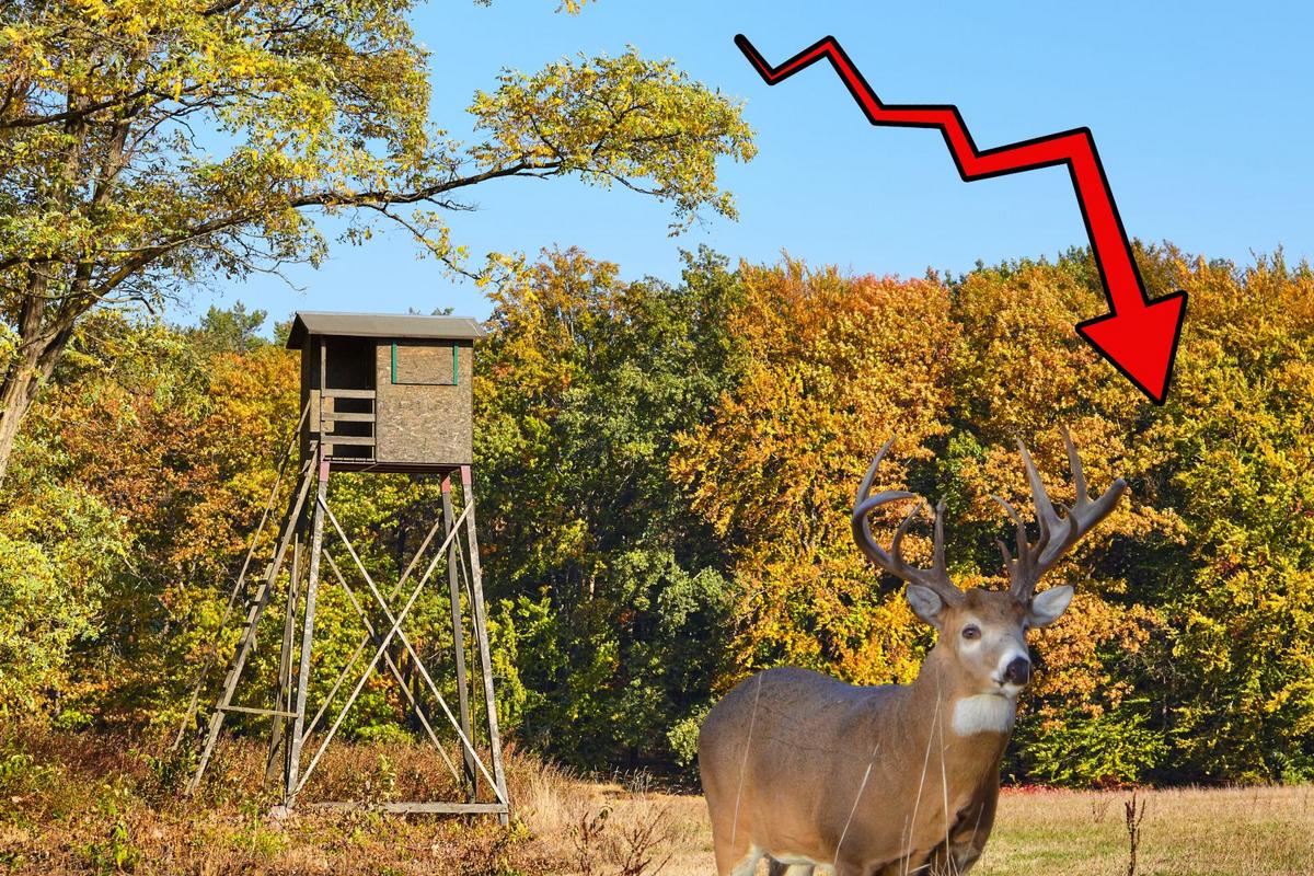 97% Drop! Is This the End of an Era for Minnesota Deer Hunters?